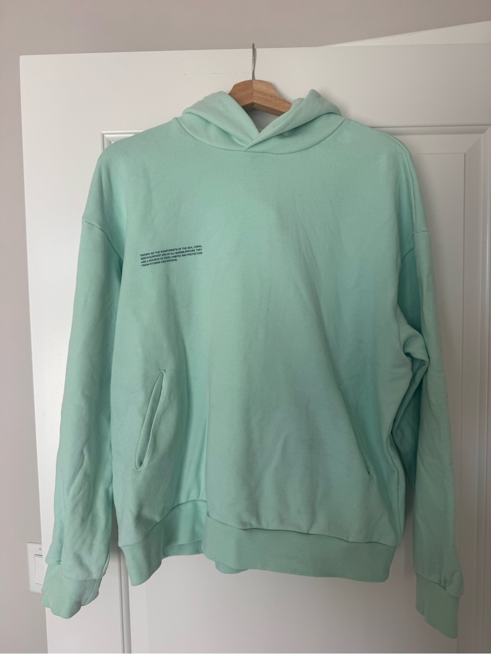 Pangaia Archive365 Lagoon Green Pullover Hoodie